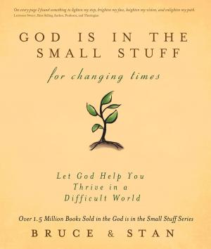 Book cover of God Is in the Small Stuff for Changing Times