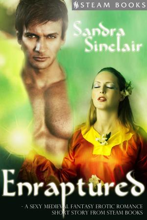 Cover of the book Enraptured - A Sexy Medieval Fantasy Erotic Romance Short Story from Steam Books by Crystal White, Carly Katz, Steam Books