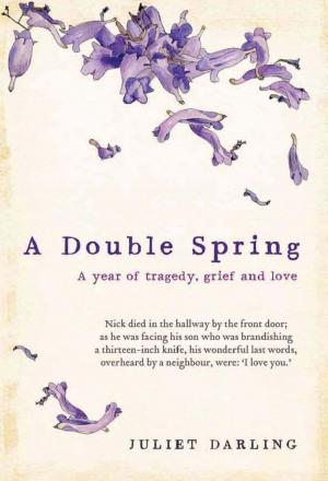 bigCover of the book Double Spring by 
