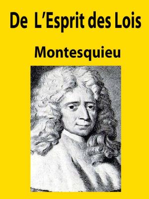 Book cover of De L'Esprit des Lois