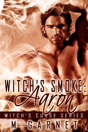 Cover of the book Witch's Smoke: Aaron by A.J. Llewellyn, D.J. Manly