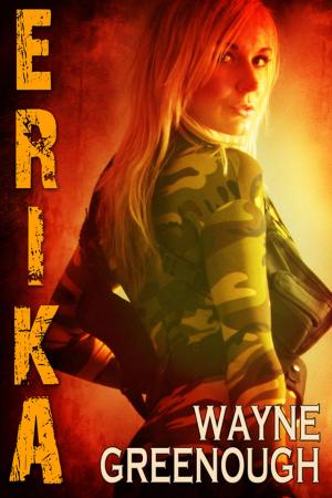 Cover of the book Erika by Ann Raina