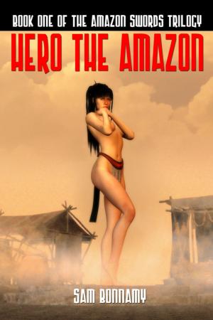 Cover of the book Hero The Amazon by Rachel DeFriez