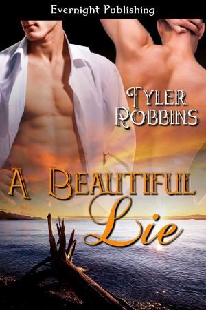 Cover of the book A Beautiful Lie by Naomi Clark