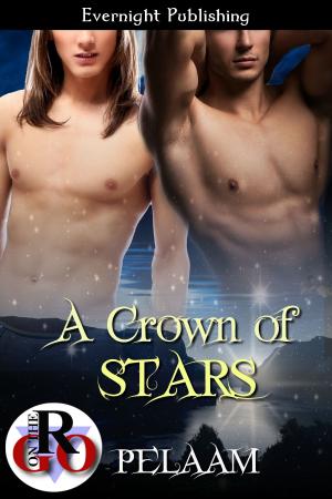 Cover of the book A Crown of Stars by Katherine McIntyre