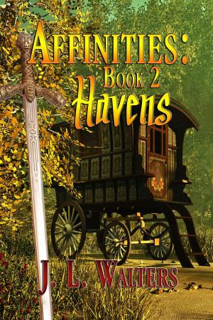 Cover of the book Havens by Vijaya Schartz