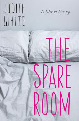 Book cover of The Spare Room