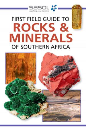 Cover of the book First Field Guide to Rocks & Minerals of Southern Africa by De Wet Potgieter