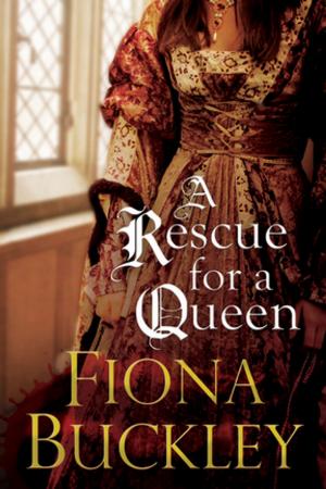 Cover of the book A Rescue For A Queen by M.J. Trow