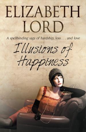 Book cover of Illusions of Happiness