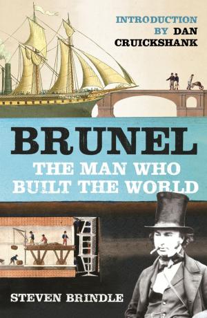 Cover of the book Brunel by Douglas Hill