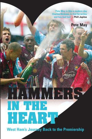 Cover of the book Hammers in the Heart by Jan de Vries