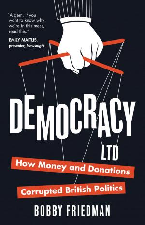 Cover of the book Democracy Ltd by Christopher Melchert