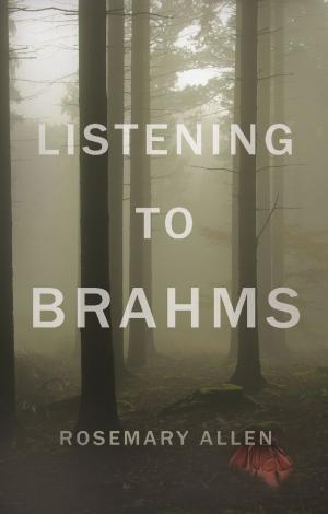 Cover of the book Listening to Brahms by Valerie Barona