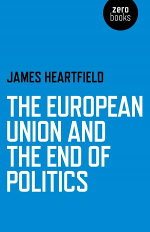 Cover of the book The European Union and the End of Politics by Rachel Patterson