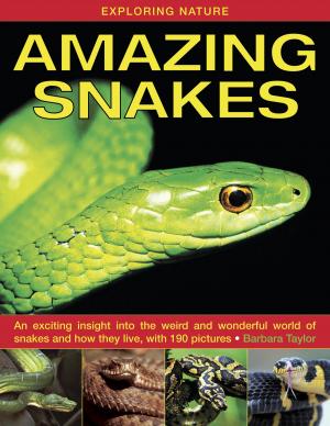 Cover of Amazing Snakes