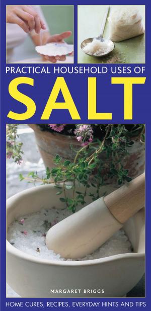 Cover of the book Practical Household Uses of Salt by Catherine Atkinson, Maggie Mayhew