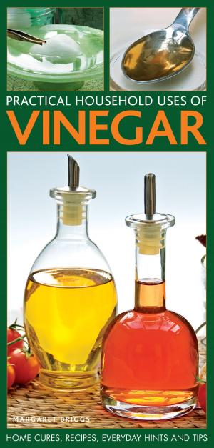 Cover of the book Practical Household Uses of Vinegar by Christine France, Christine McFadden