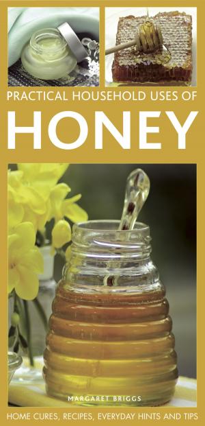 Cover of the book Practical Household Uses of Honey by Mark Evans