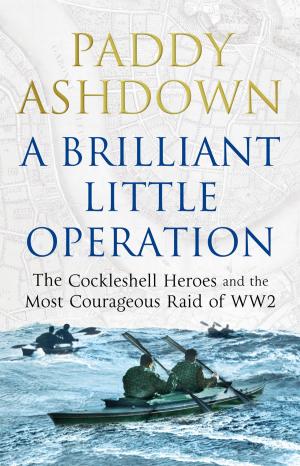 Cover of the book A Brilliant Little Operation by Anne Hooper