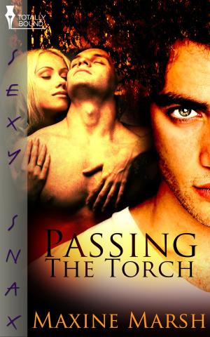 Cover of the book Passing The Torch by Cassidy Ryan