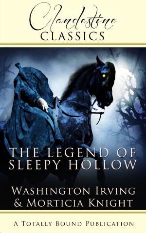 Cover of the book The Legend of Sleepy Hollow by Gwendolyn Dash