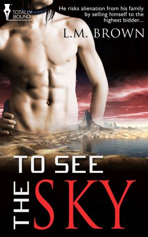Book cover of To See the Sky