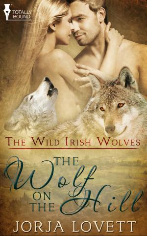 Cover of the book The Wolf on the Hill by Stephani Hecht