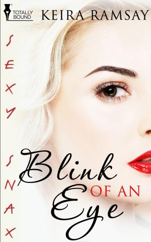 Cover of the book Blink of an Eye by Desiree Holt