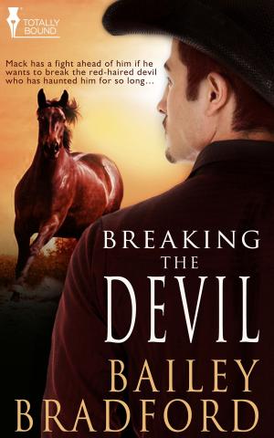 Cover of the book Breaking the Devil by Angela Claire