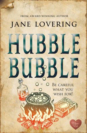 Cover of the book Hubble Bubble by Berni Stevens