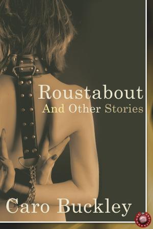 Cover of the book Roustabout and Other Stories by Jenny Barber