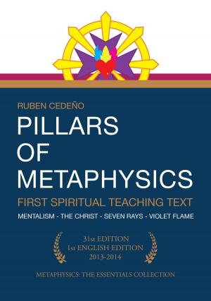 Cover of the book Pillars of Metaphysics by Julius Evola
