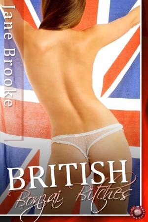 Cover of the book British Bonzai Bitches by David Hay