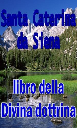 Cover of the book Libro della Divina dottrina by Augustine of Hippo