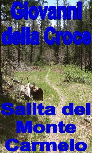 Book cover of Salita del Monte Carmelo