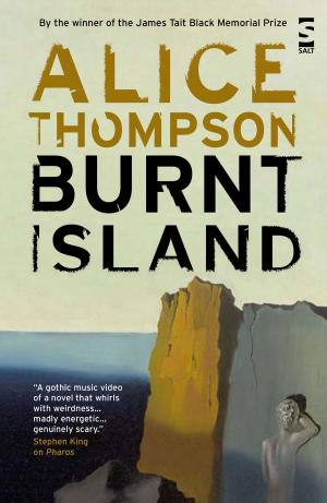Cover of the book Burnt Island by Stefan Mohamed