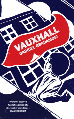 Cover of the book Vauxhall by Hassan Hamdan al-Alkim