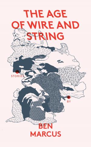 Cover of the book The Age of Wire and String by Sigrid Rausing
