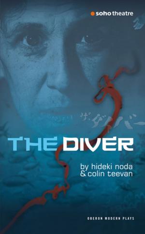 Cover of the book The Diver by Michael Abbensetts