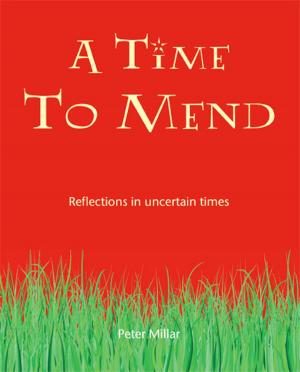 Cover of the book Time to Mend by J. Philip Newell