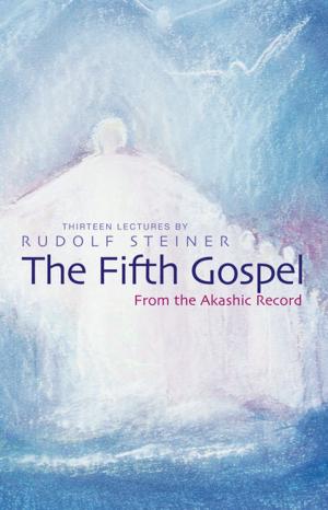 Cover of the book The Fifth Gospel by Tormod Burkey