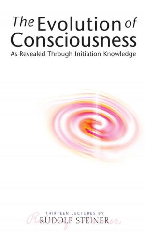 Cover of the book The Evolution of Consciousness by T. J. Coles