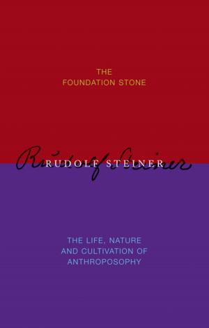 bigCover of the book The Foundation Stone by 