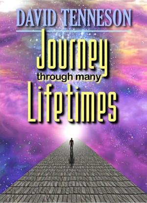 Cover of the book Journey Through Many Lifetimes by Duane Smith