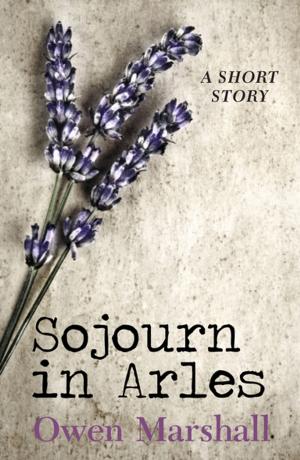 Cover of Sojourn in Arles by Owen Marshall, Penguin Random House New Zealand