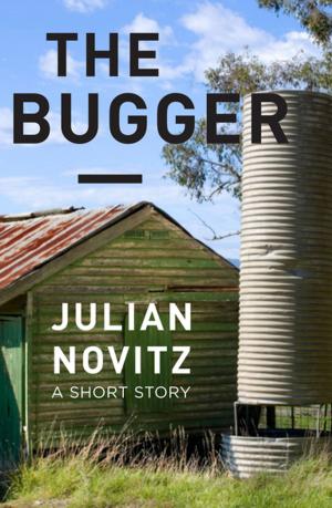 Cover of the book The Bugger by Judith Graham