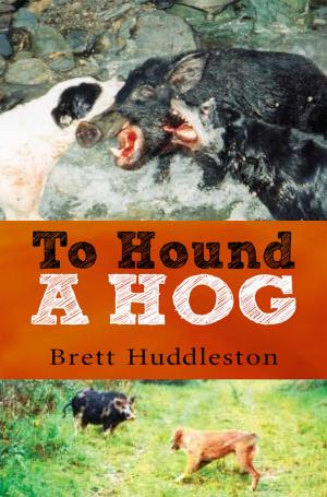 Cover of the book To Hound a Hog by Howard Egan