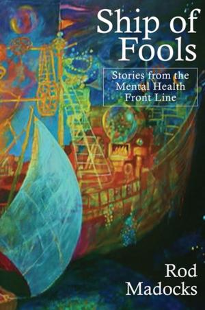 Cover of the book Ship of Fools by Danuta Reah