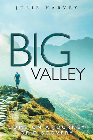 Cover of the book Big Valley by Charles Oman